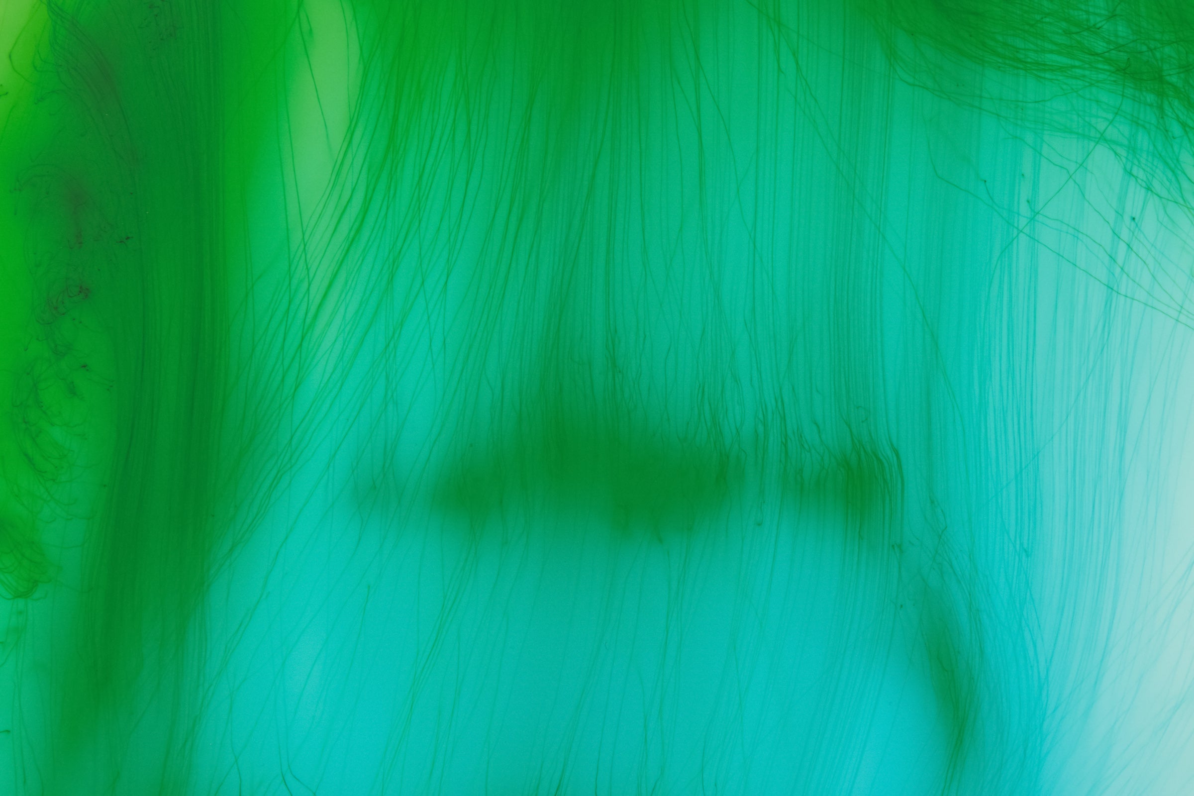 Wolfgang Tillmans - Freischwimmer TfL | Signed Edition