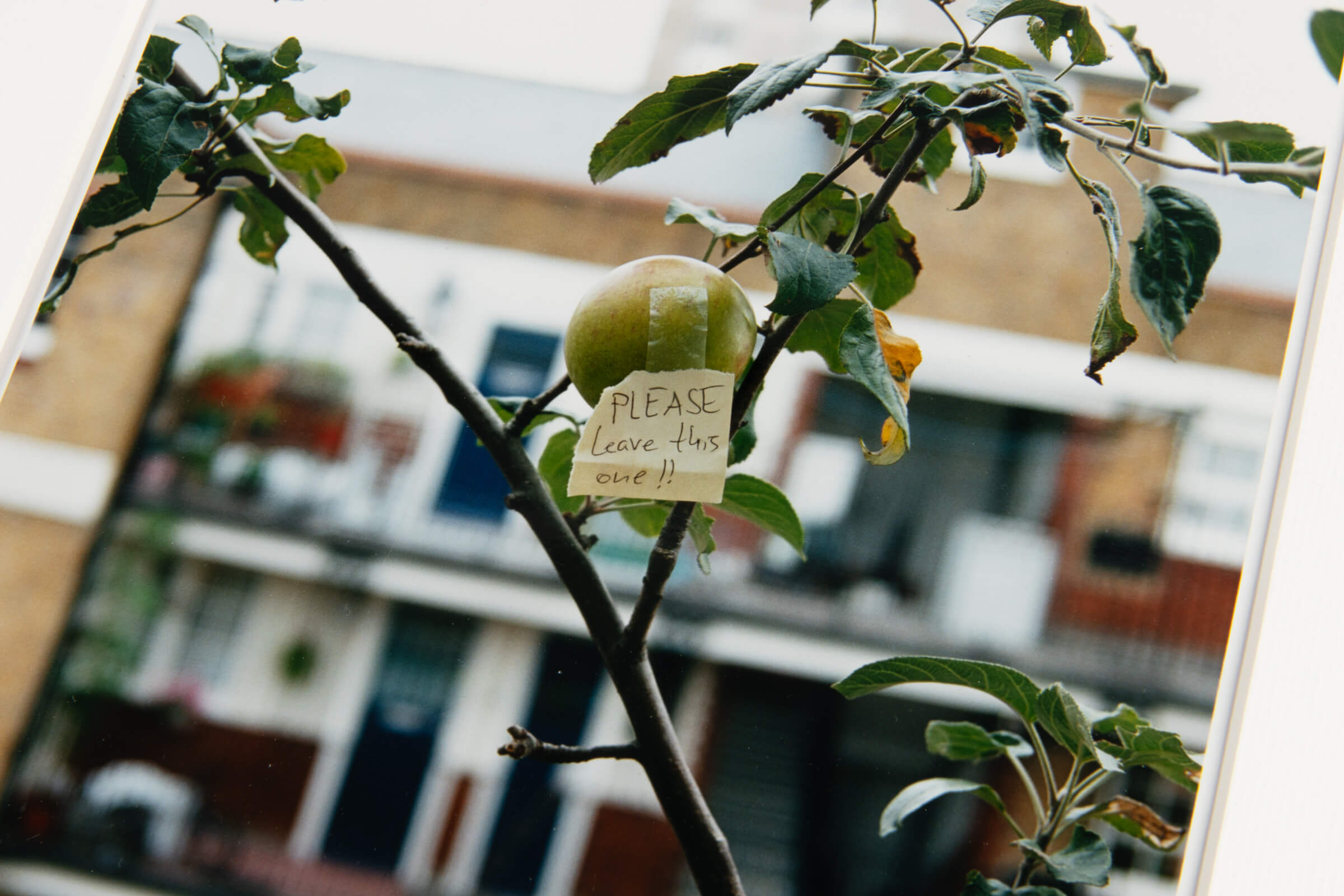 Wolfgang Tillmans – PLEASE leave this one