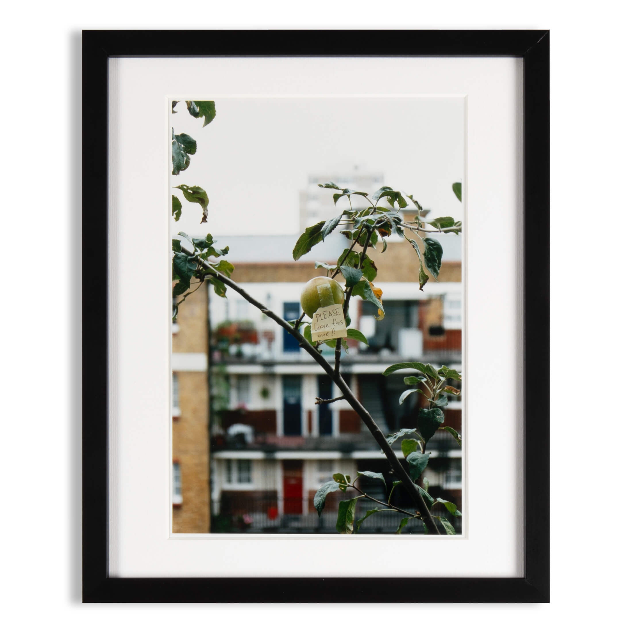 Wolfgang Tillmans – PLEASE leave this one