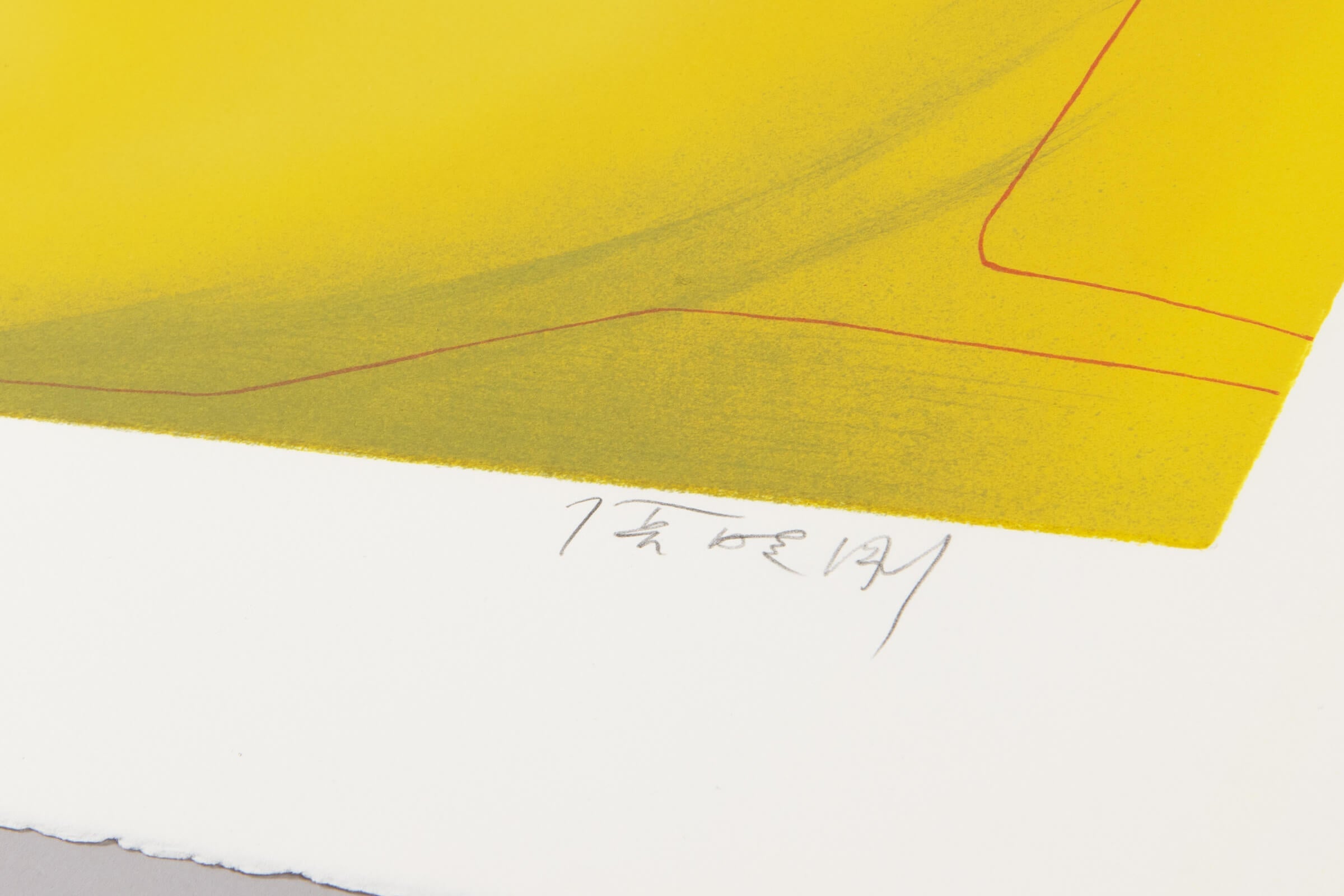 Zhang Xiaogang - Fantasy