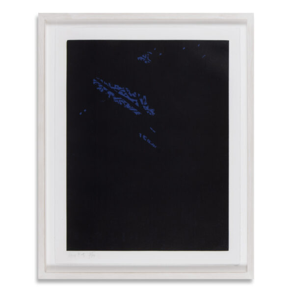 Alex Katz - Night