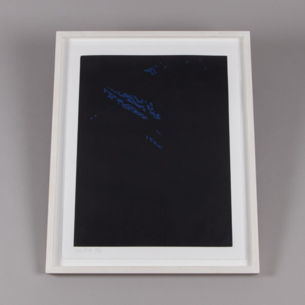 Alex Katz - Night