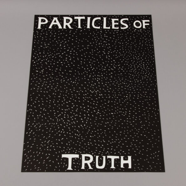 David Shrigley, Particles of Truth