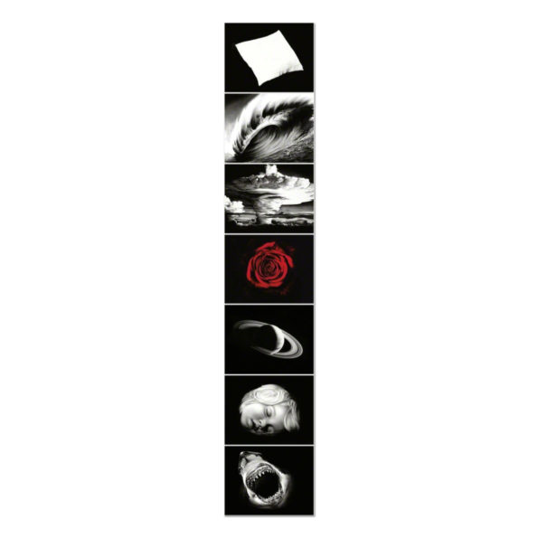 Robert Longo, Essentials
