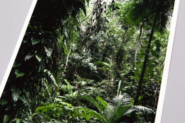 Thomas Struth, Sao Francisco de Xavier