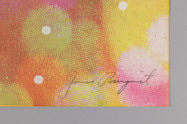 James Rosenquist - Circles of Confusion