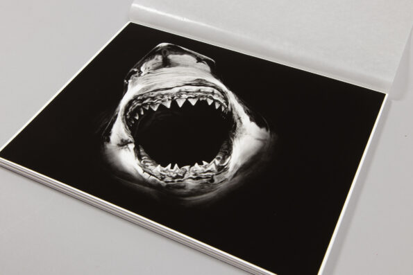 Robert Longo - Essentials