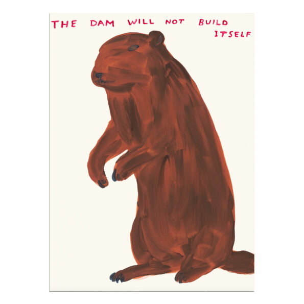David Shrigley - The Dam Will Not Build Itself